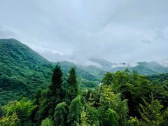 -青城山