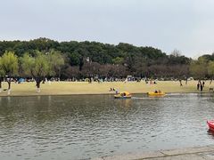 -上海方塔园
