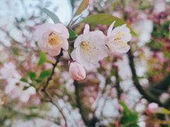 -堤角公园