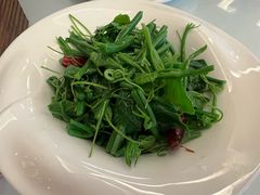 炝拌丝瓜尖-玉华宫宾馆·餐厅(铜川驻京办店)