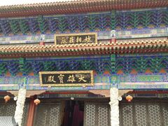 -天下玉苑