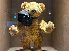 -济州岛泰迪熊博物馆