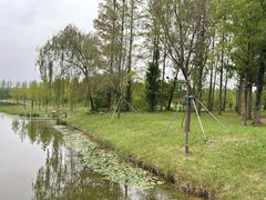 -黄海国家森林公园