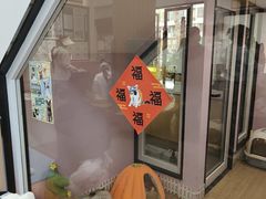 -联合动物医院(光谷诊疗中心)
