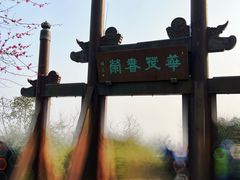 -杭州半山国家森林公园