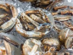 土笋冻-铭聚章鱼土笋冻(松柏店)