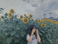 -二沙岛艺术公园