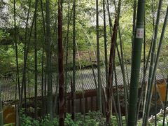 -灵隐飞来峰景区