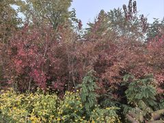 -长春世界雕塑园冰雪艺术天地