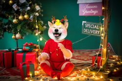 -挚纯baby儿童摄影(庐阳区店)