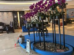 -珠海怡景湾大酒店