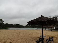 -上海佘山世茂艾美酒店