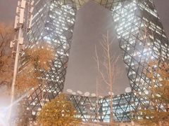 -中央广播电视总台(光华路办公区)