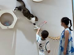 -1013 PET SHOP精品宠物商店(丁香店)