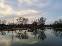 -西溪国家湿地公园