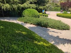 -大连植物园