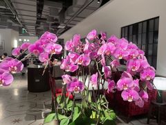 -漢舍中国菜馆(889广场店)