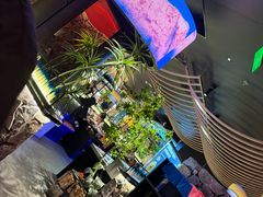 -芸山季·云南山珍菌火锅(人民广场来福士店)