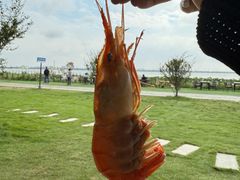-七的湖·晚芳亭·阳澄湖农家菜·大闸蟹(莲花岛店)