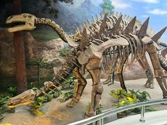 -延庆地质公园博物馆