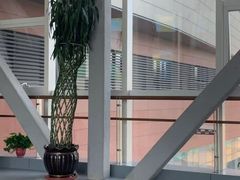 -中国医科大学附属第一医院(浑南院区)