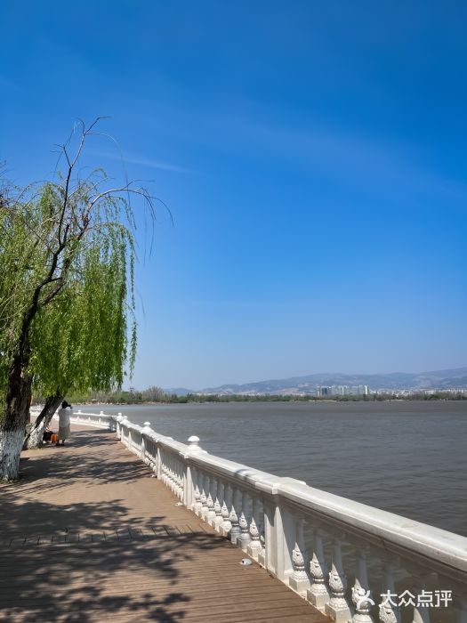 西昌邛海湿地图片
