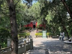 -子昂故里文化旅游区