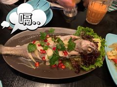 蒸海鲈鱼-URBAN SOI Thai Kitchen乐泰料理(长乐路店)
