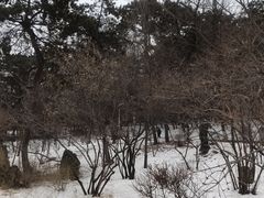 -望溪公园