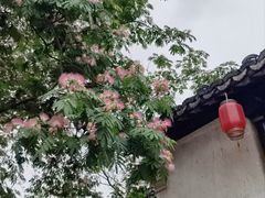 -沙家浜风景区