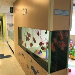 -杭州贝瑞斯美华妇儿医院·早孕·产检·儿科