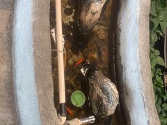 -湘芙蓉·湖南菜(椒江店)