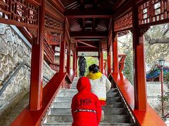 -大觉寺-停车场