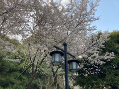 -苏州上方山国家森林公园