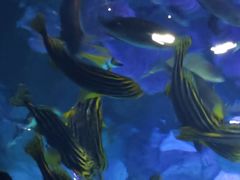 -沈阳海洋探索中心