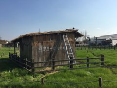 -田园东方蜜桃村的田野营地