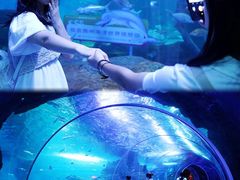 -多彩贵州城极地海洋世界