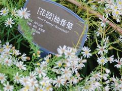 -国家植物园