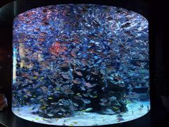 -成都浩海立方海洋公园