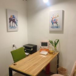 -舒欣头疗·俏丝谧语 白发脱发专业护理 