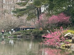 -杭州植物园