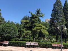 -黄村公园