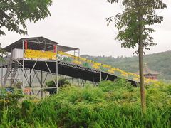 -渭南桃花源民俗文化园