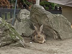 -洪湖家庭农场·团建·露营·会议