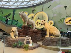 -陕西自然博物馆