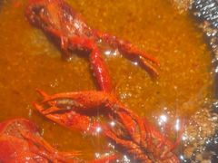 -红盔甲·小龙虾(车公庙店)