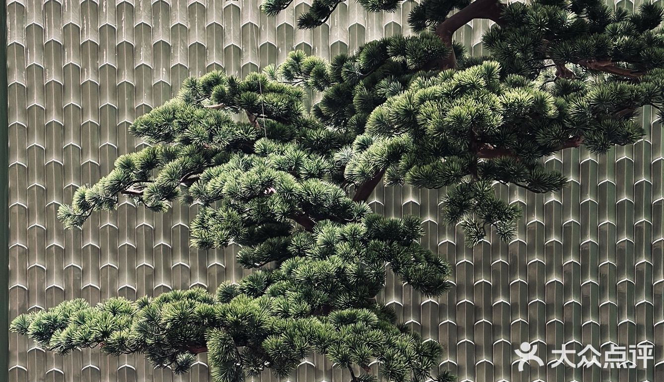 福州酒店中餐厅的天花板？