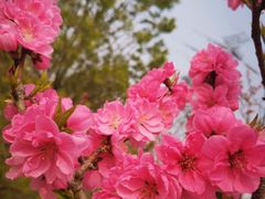 -门城湖公园