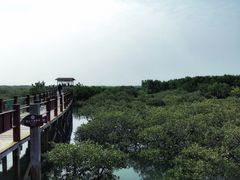 -北海金海湾红树林生态旅游区