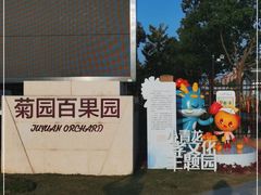 -菊园百果园